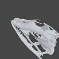 Detailed 3D Rendered Dinosaur Skull With Skeletal Structure And Sharp Teeth