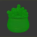 Succulent Plant with Green Leaves and White Flowers in Decorative Ceramic Pot with White Pebbles