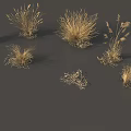 Golden Grass Displaying Various Shapes Different Heights And Spike Structures On Gray Background 3d model