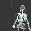 3D Skeleton Character Model for Animated Game and Movie Roles