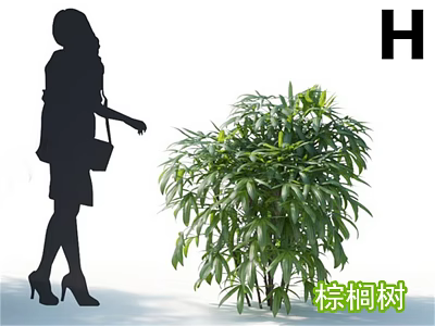 Lush Green Palm Tree With Dense Foliage And Person Silhouette In Outdoor Space 3d model