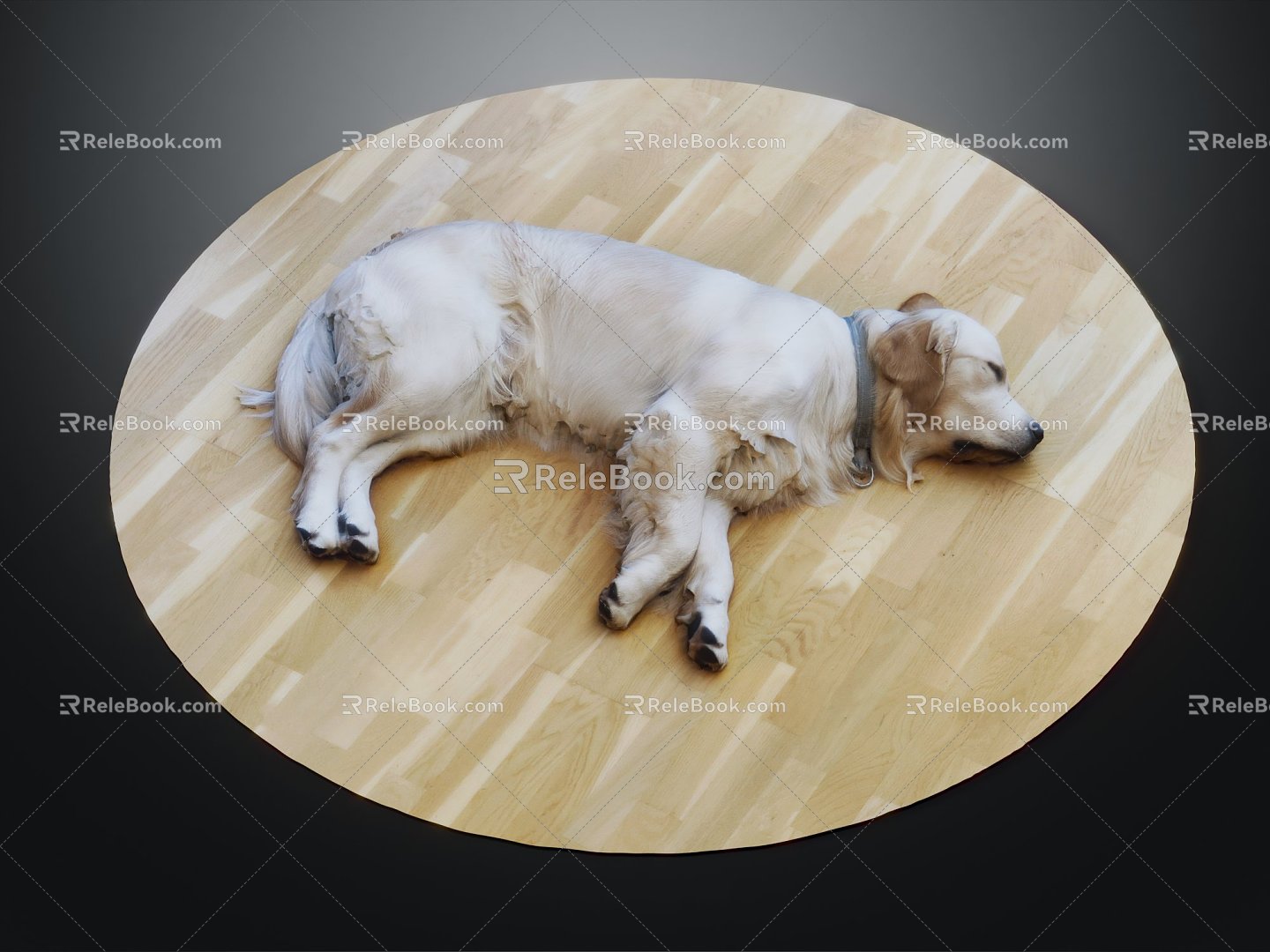 Modern Dog Golden Retriever Collie Pet Working Dog Guide Dog 3d model