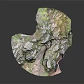 Rustic Wood And Stone Materials In Outdoor Landscape With Green Moss And Rocks