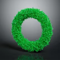 Green Ring Shaped Plant Ornament Crafted From Lush Grass Blades