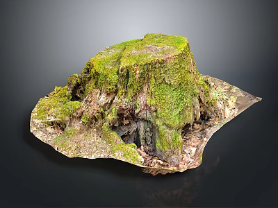 Mossy Wooden Tree Stump Decor With Natural Stone Base And Textured Surface 3d model