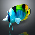 Vibrant Butterflyfish With Blue Yellow Black Striped Body On Dark Background With Reflection