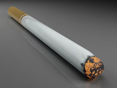 Cigarette With Filter Tip And Burned End On Gray Surface 3d model