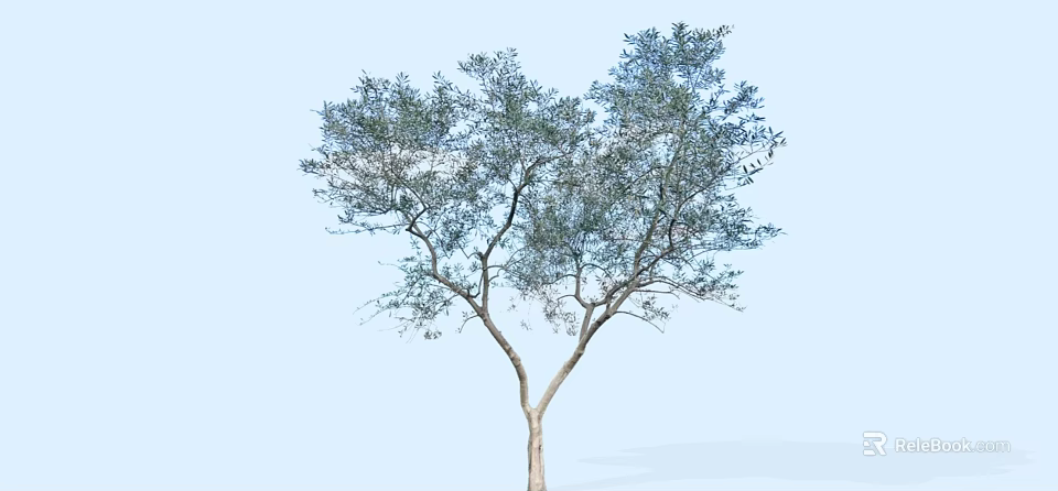 Tall Arbor Tree with Forked Branches and Lush Green Foliage Against Light Blue Sky 3d model 