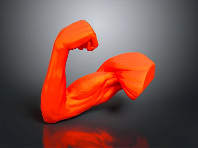 Medical Device Red Muscle Arm Model For Anatomical Education And Rehabilitation 3d model