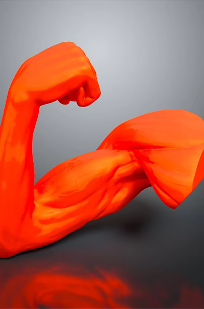 Medical Device Red Muscle Arm Model For Anatomical Education And Rehabilitation 3d model