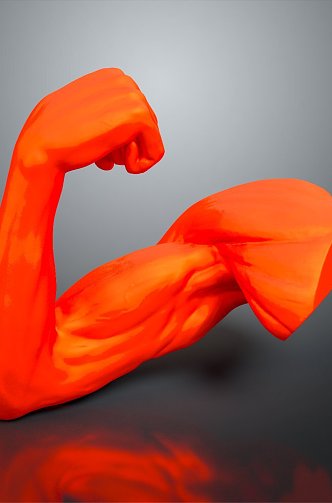 muscle human muscle human muscle model muscle model human muscle tissue human body organ 3d model