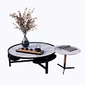 Modern Round Coffee Table Set With Vase Dry Flowers Tea Set And Side Table 3d model