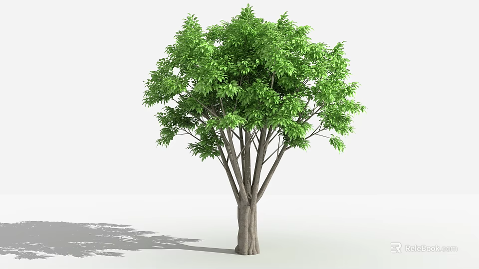 Lush Green Arbor With Dense Foliage And Strong Branched Trunk For Landscaping 3d model 