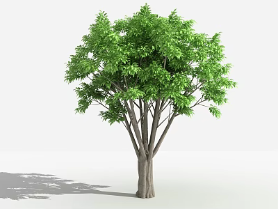 Lush Green Arbor With Dense Foliage And Strong Branched Trunk For Landscaping 3d model