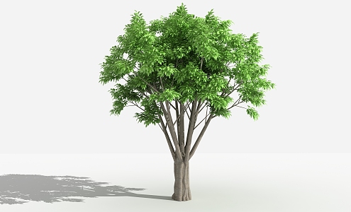 modern tree alpine banyan 3d model