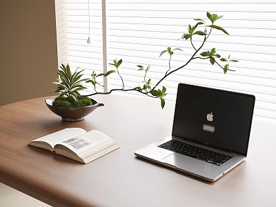 Bonsai Plant on Wooden Desk with Open Book and Laptop near Window Blinds 3d model