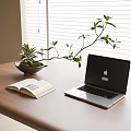 Bonsai Plant on Wooden Desk with Open Book and Laptop near Window Blinds
