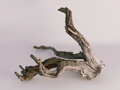 Natural Stone Wood Tree Root Decor with Rough Texture Organic Shape and Light Background 3d model