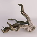 Natural Stone Wood Tree Root Decor with Rough Texture Organic Shape and Light Background 3d model