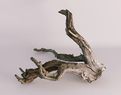 Natural Stone Wood Tree Root Decor with Rough Texture Organic Shape and Light Background 3d model