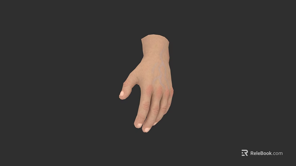 Realistic Human Hand Model With Detailed Skin Texture And Natural Fingers 3d model 