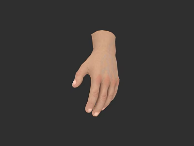 Realistic Human Hand Model With Detailed Skin Texture And Natural Fingers 3d model