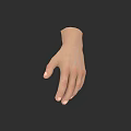 Realistic Human Hand Model With Detailed Skin Texture And Natural Fingers
