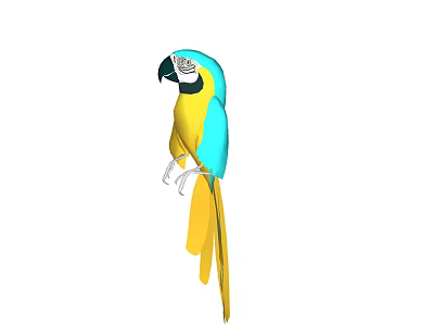 Colorful Blue and Yellow Macaw Parrot Perched on Branch 3d model