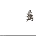 Tall Arbor With Straight Trunk And Brown Leaves Against White Background With Person Walking