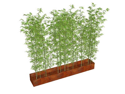Potted Bamboo Plants In Long Rectangular Brown Planter With Lush Green Leaves 3d model