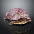 Modern Turtle Cartoon Turtle Snapping Turtle 3d model