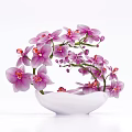Beautiful Purple Orchid Flowers In White Ceramic Vase With Curved Branches Design