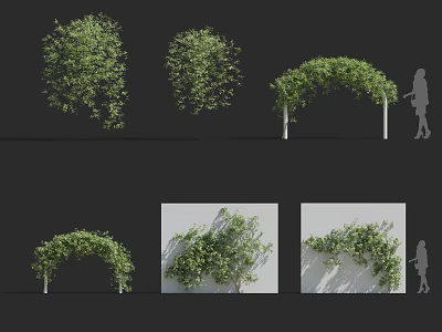Different Living Green Plant Wall Designs Featuring Arched and Wall Mounted Shapes 3d model