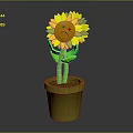 Potted Yellow Sunflower With Sad Face And Green Stem In Yellow Pot