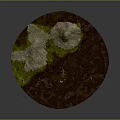Small Animal Sitting On Brown Muddy Ground With Green Mossy Patches