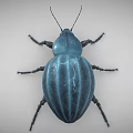 Blue Flying Beetle 3D Model With Metallic Legs And Long Antennae 3d model