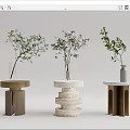 Diverse Design Round Side Tables With Wooden Marble Metal Bases And Green Plants In Vases