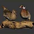 Two Colorful Wood Ducks Perched On A Wooden Log With Detailed Feathers