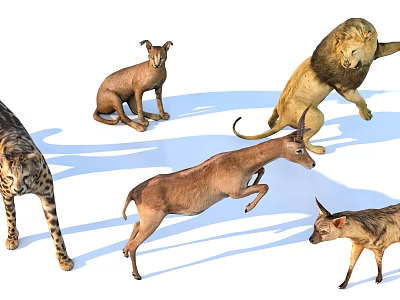 Diverse Reptile Species Showcasing Unique Scales And Natural Behaviors In Habitat 3d model