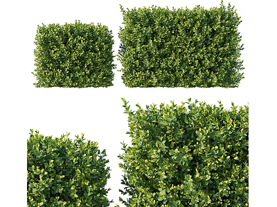 Well Trimmed Lush Green Shrubs Ideal For Outdoor Garden Landscaping Design 3d model