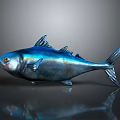 Metallic Fish with Blue and Silver Sheen Fins Tail and Reflection on Gray Background