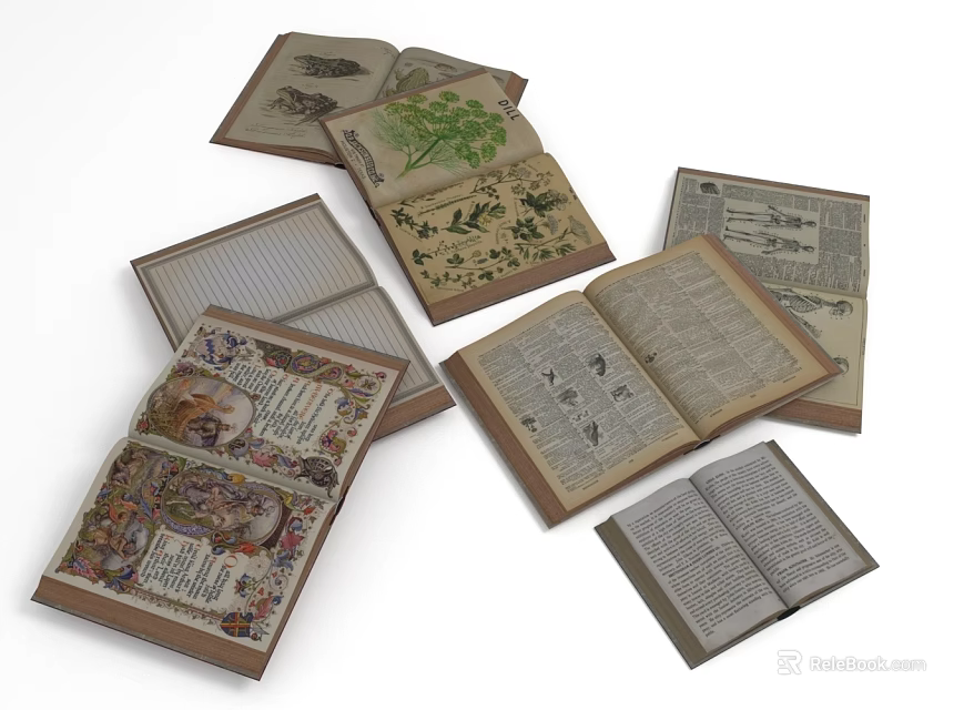 Open Vintage Books With Botanical Illustrations Text Pages And Old Prints 3d model 