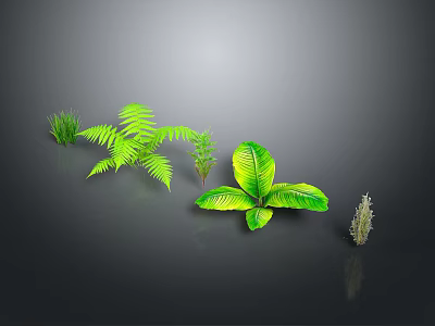 3D Rendered Green Plants Collection With Various Foliage On Dark Background 3d model