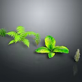 3D Rendered Green Plants Collection With Various Foliage On Dark Background