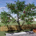Fruit Bearing Tree With Red Fruits Near Wooden Fence And Basket On Paved Ground