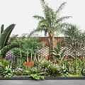 Lush Tropical Garden Space With Palm Trees Large Leaf Ferns Bamboo Fence And Colorful Blooms
