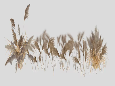 Lush Golden Brown Vines With Long Trailing Leaves For Garden Decor 3d model
