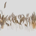 Lush Golden Brown Vines With Long Trailing Leaves For Garden Decor
