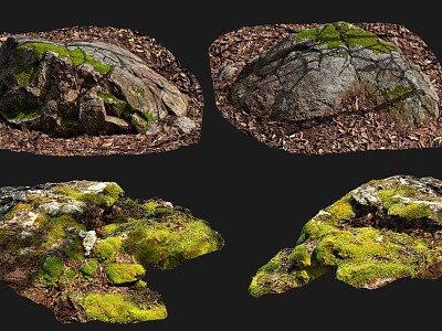 Modern Stone Moss Stone Moss Stone Moss Ground Weathered Stone Natural Stone Forest Ground Dead Wood Leaf Stone Forest Stone 3d model