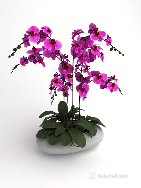 Bonsai Potted Plant with Purple Orchid Pink Flowers Green Leaves in White Pot 3d model 